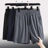 DryFit™ Herren Shorts aus Eisseide