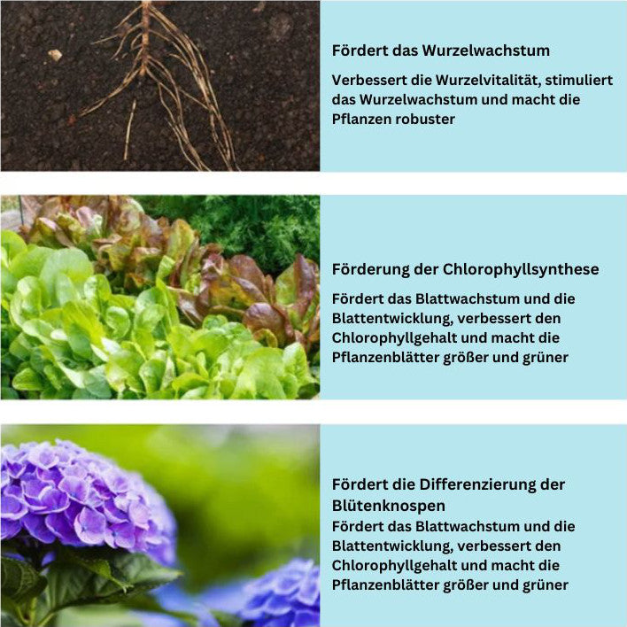 SoilBoost™️ Pflanzen umweltfreundlich wieder zum Leben erwecken!